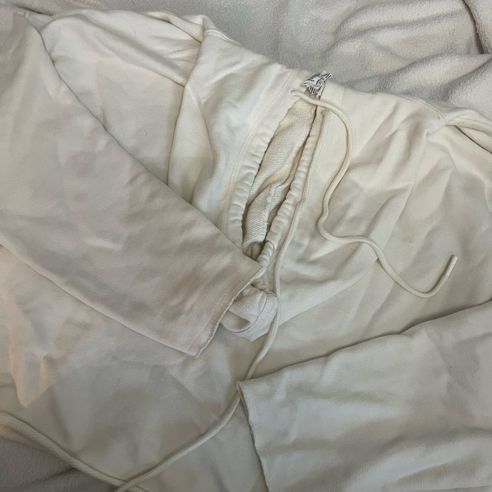 NWOT Alo Cropped Hoodie